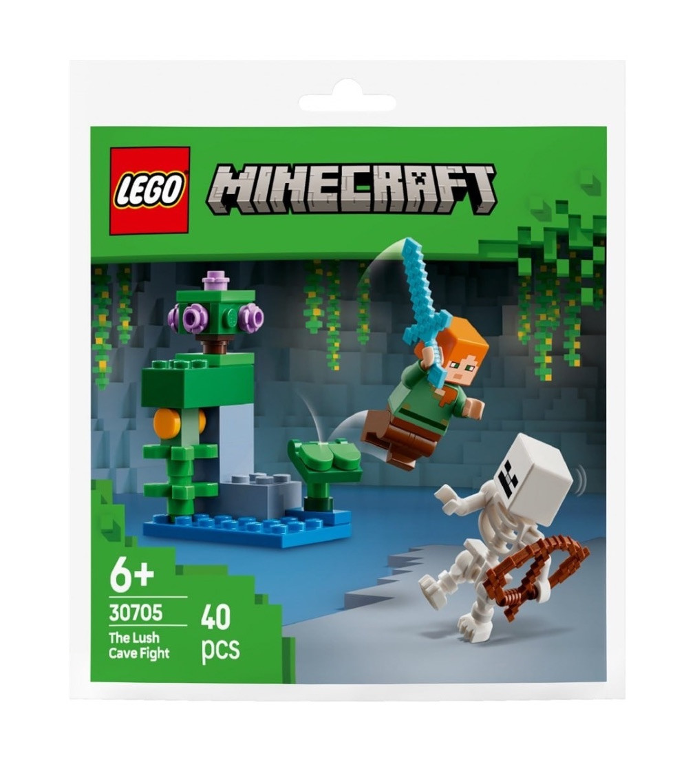 Конструктор LEGO Minecraft Бій в печері з хащами (30705)